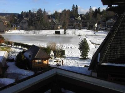 Gaestehaus Lickert Familie Dreher Hinterzarten Exterior photo